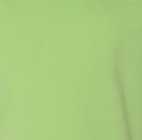 BlankKeyLimeGreenShirt